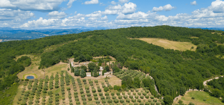 Vista aerea di una proprietà immersa nella natura, con terreni coltivati a ulivi, alberi e colline verdi sullo sfondo.